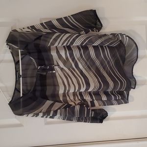 Express Sheer Top